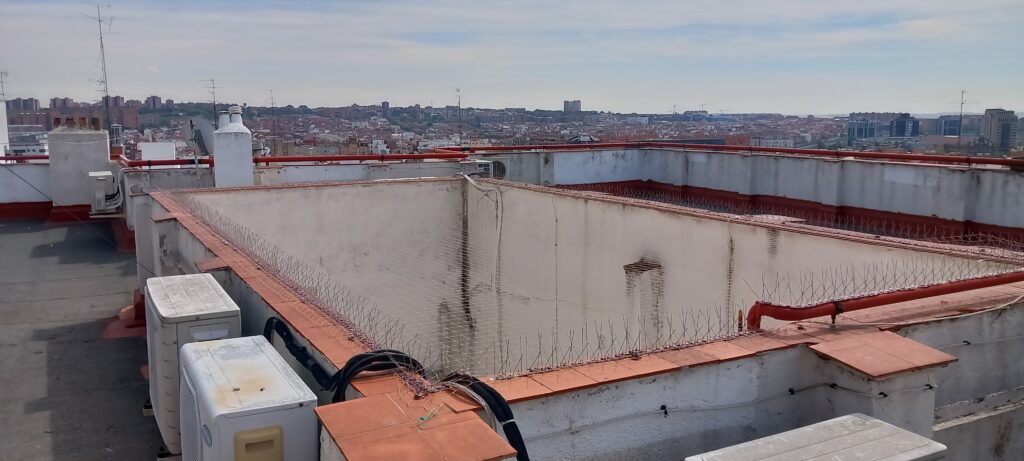 proteccion patio interior con pinchos y  red  antipalomas  antipalomas-madrid-redes-pinchos