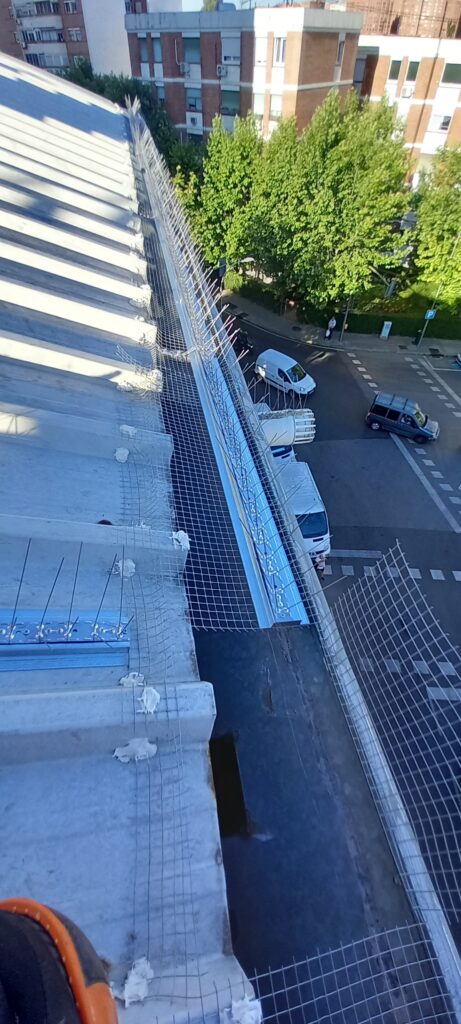 limpieza de canalon  , desatasco de bajante mas medidas fisicas  contra las palomas 